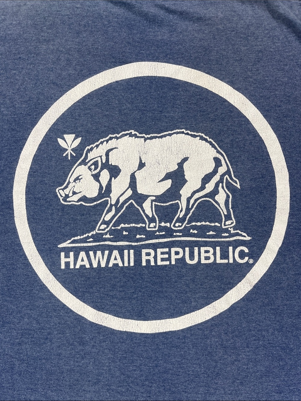 Hawaii Republic Blue Short Sleeve Tee with Relaxed Fit